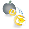 OLM to PST Converter